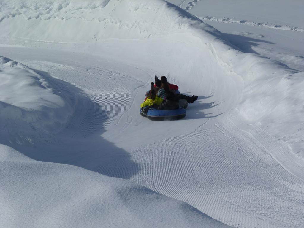 לינה וארוחת בוקר קראנס-מונטנה Chalet Des Alpes מראה חיצוני תמונה