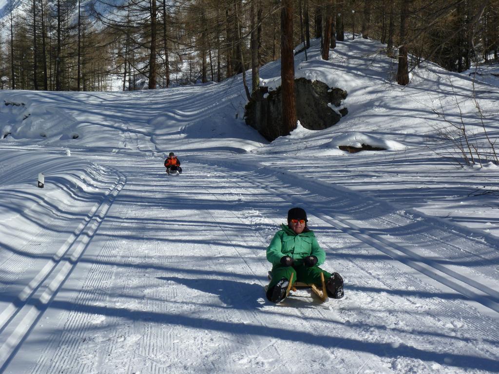 לינה וארוחת בוקר קראנס-מונטנה Chalet Des Alpes מראה חיצוני תמונה