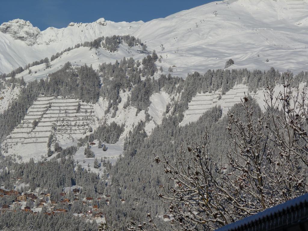 לינה וארוחת בוקר קראנס-מונטנה Chalet Des Alpes מראה חיצוני תמונה