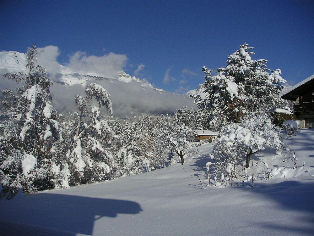 לינה וארוחת בוקר קראנס-מונטנה Chalet Des Alpes מראה חיצוני תמונה